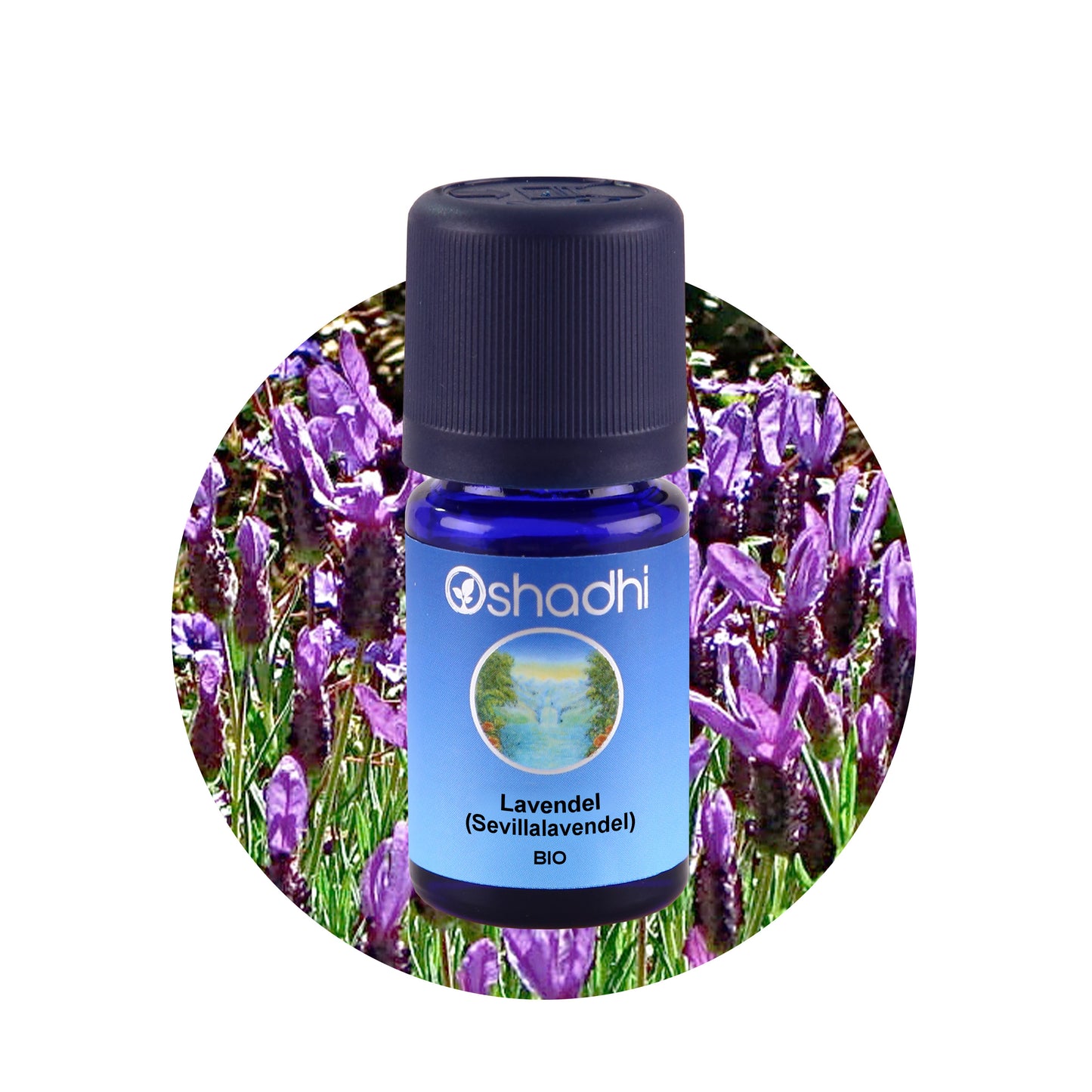 Lavendel (Sevillalavendel) EG-bio – Ätherisches Öl