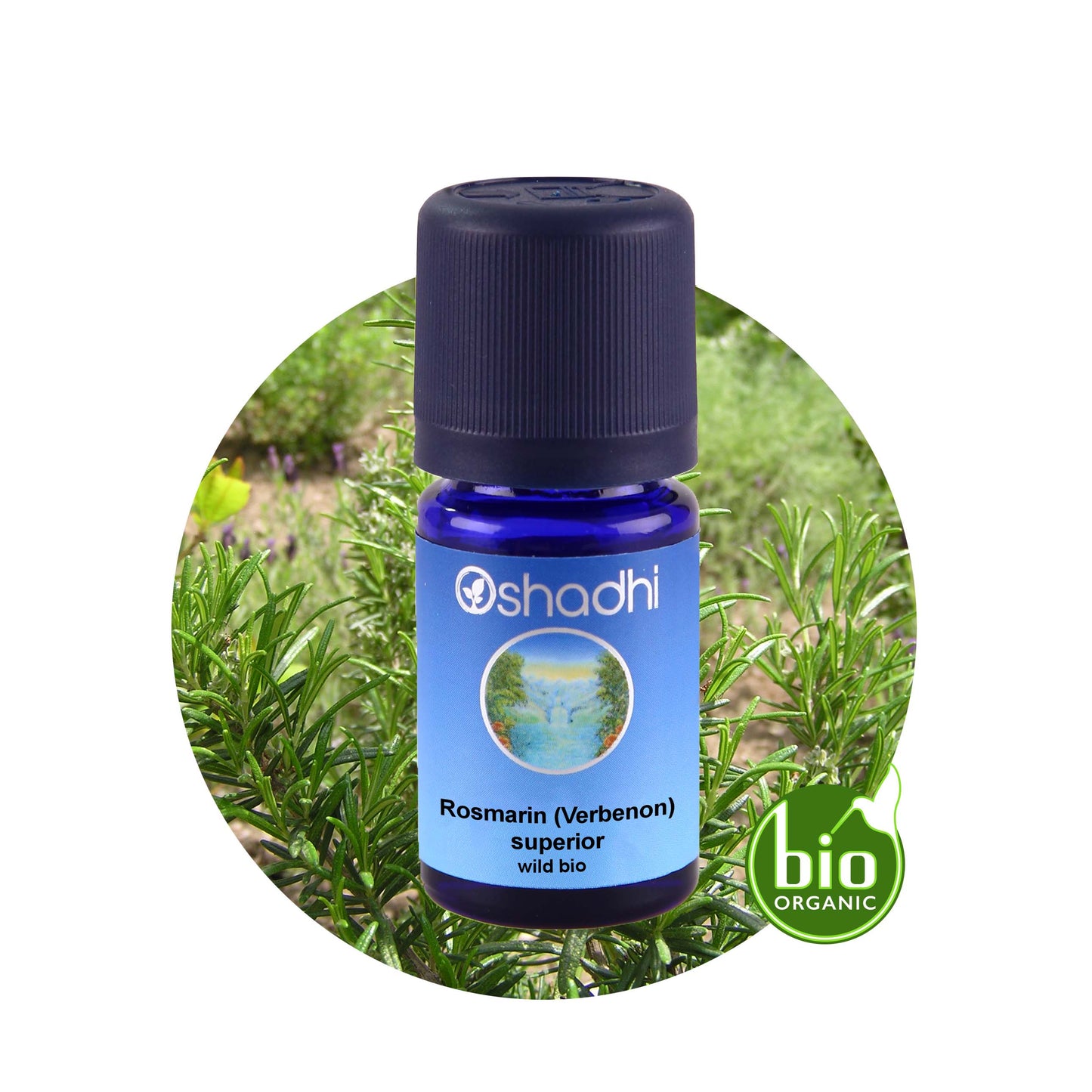 Rosmarinöl (Verbenon) superior, wild EG-bio