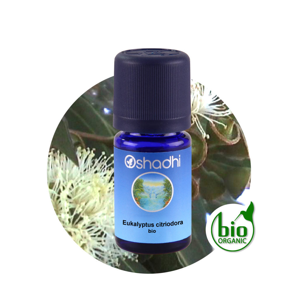Eukalyptus citriodora bio – Ätherisches Öl