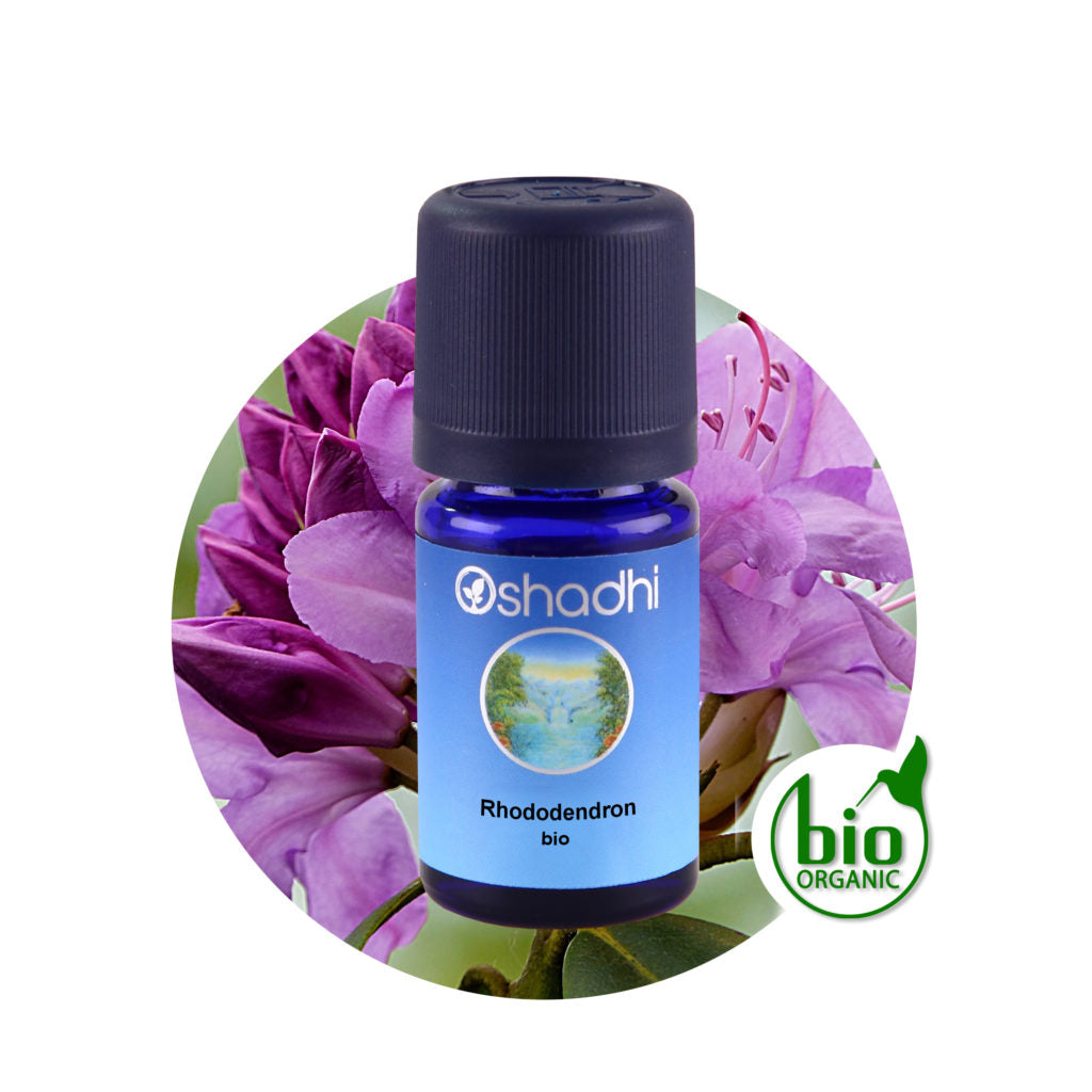 Rhododendron bio – Ätherisches Öl
