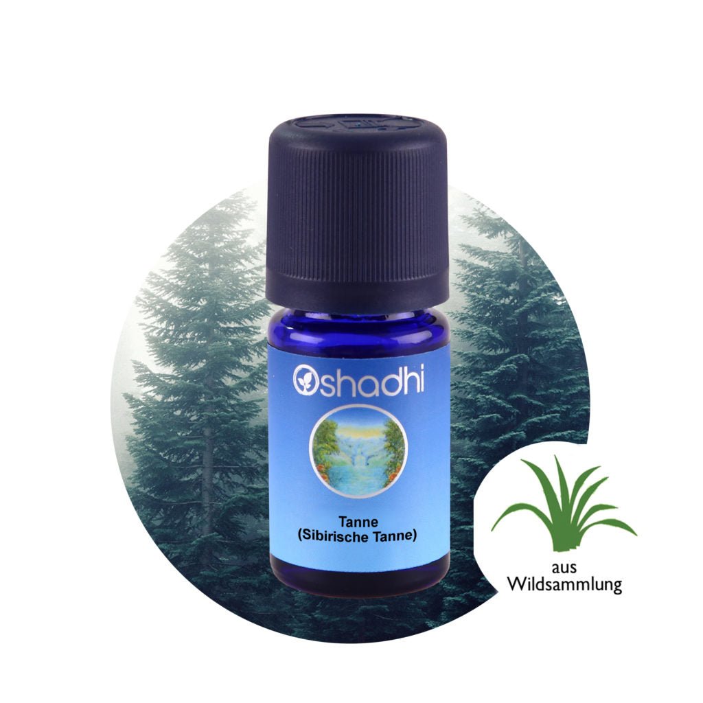 Tanne (Sibirische Tanne) Ätherisches Öl