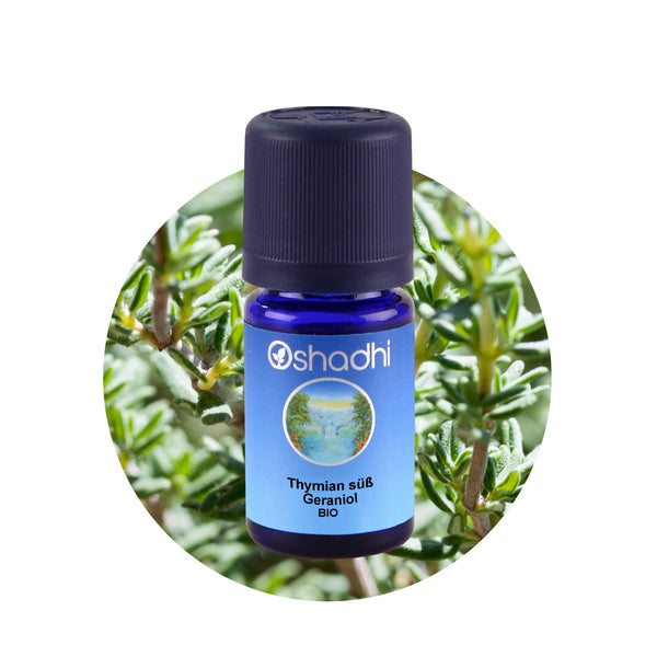Thymian süß (Geraniol) EU-bio