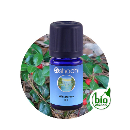 Wintergreen Oil bio (Wintergrün Öl) – Ätherisches Öl