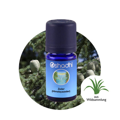 Zedernöl Himalayazeder